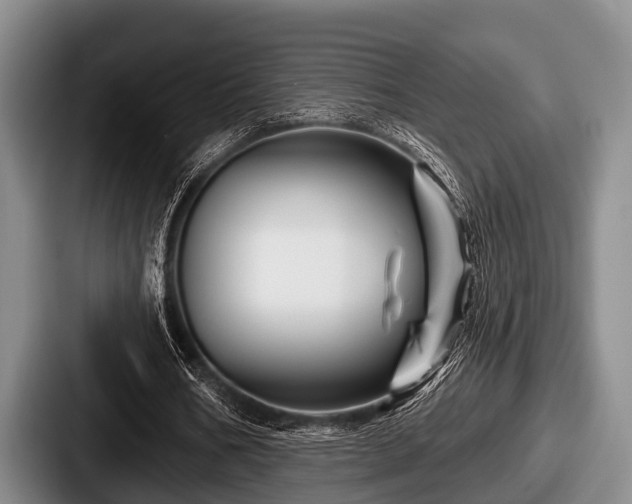 X0000087680578200705111302