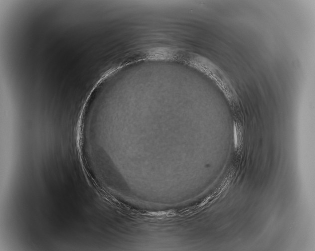 X0000087680579200705111302