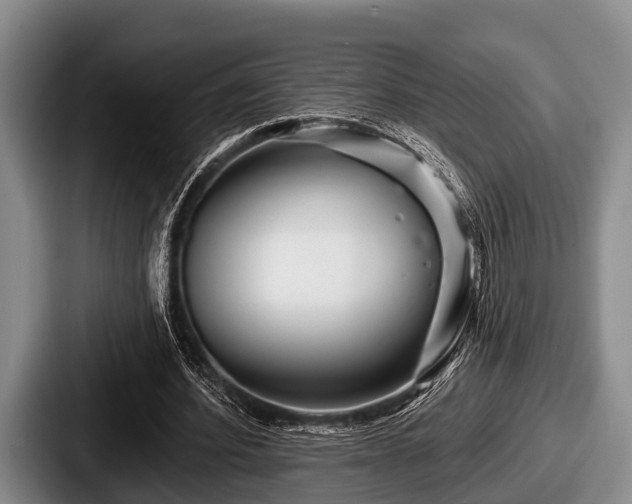 X0000087680580200705111302
