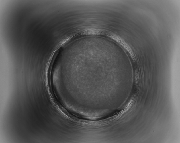 X0000087680581200705111302