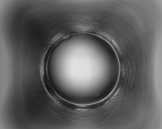 X0000087680582200705111302
