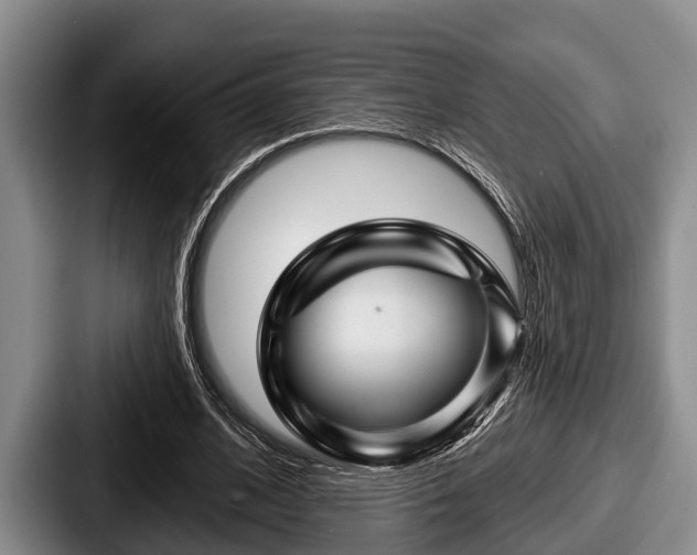 X0000087680584200705111302