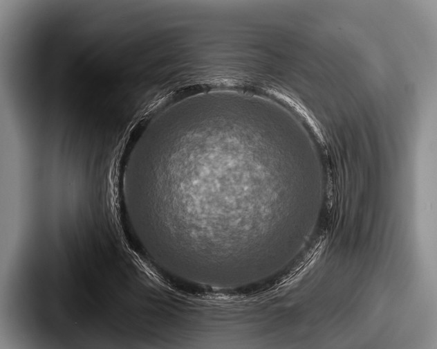 X0000087680585200705111302