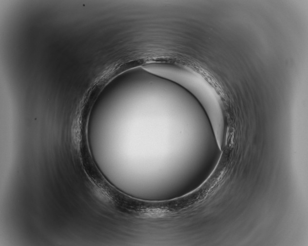 X0000087680586200705111302