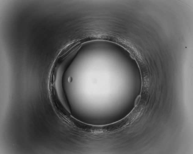 X0000087680587200705111302