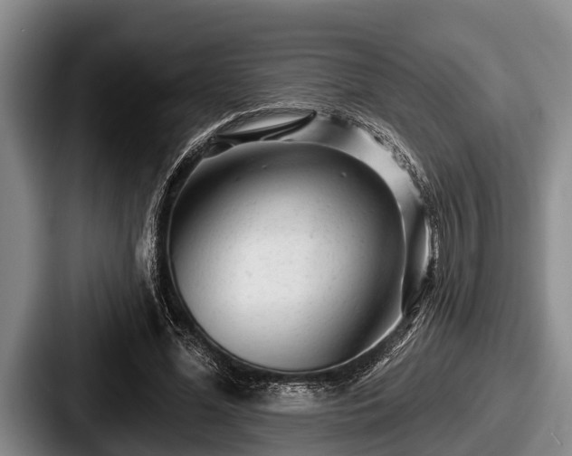 X0000087680588200705111302
