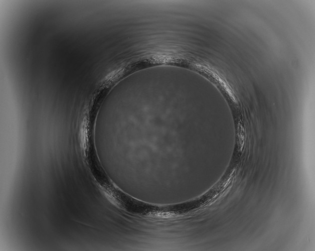 X0000087680590200705111302
