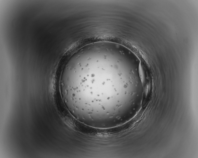 X0000087680591200705111302