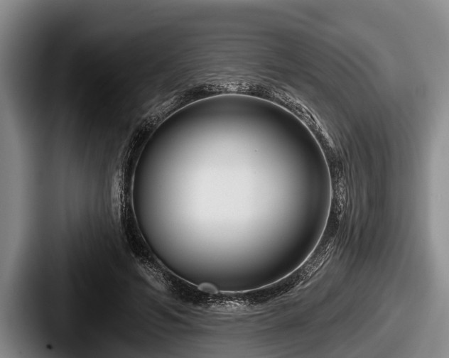 X0000087680594200705111302