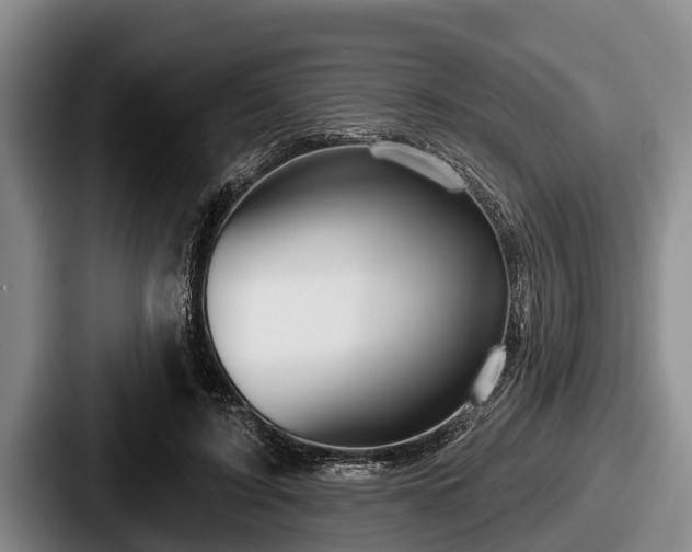 X0000087680595200705111302