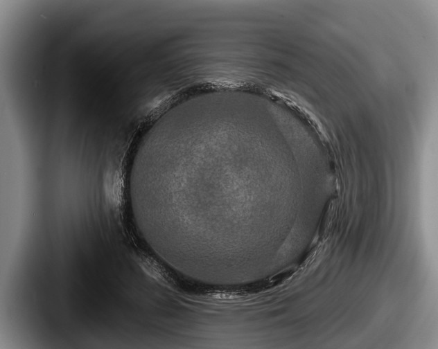 X0000087680596200705111302