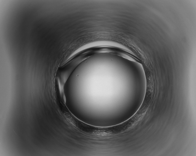 X0000087680597200705111302