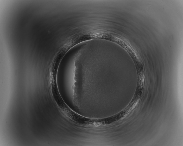 X0000087680598200705111302