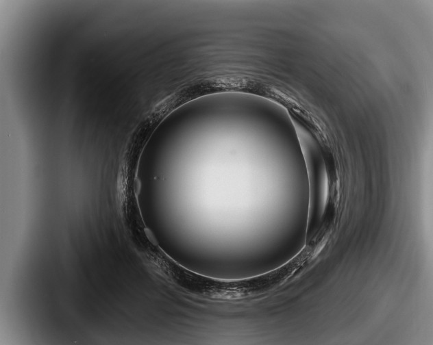 X0000087680600200705111302