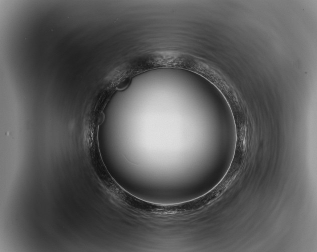 X0000087680602200705111302
