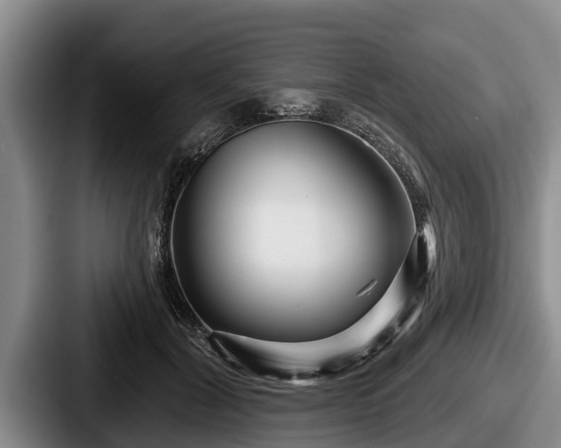 X0000087680604200705111302