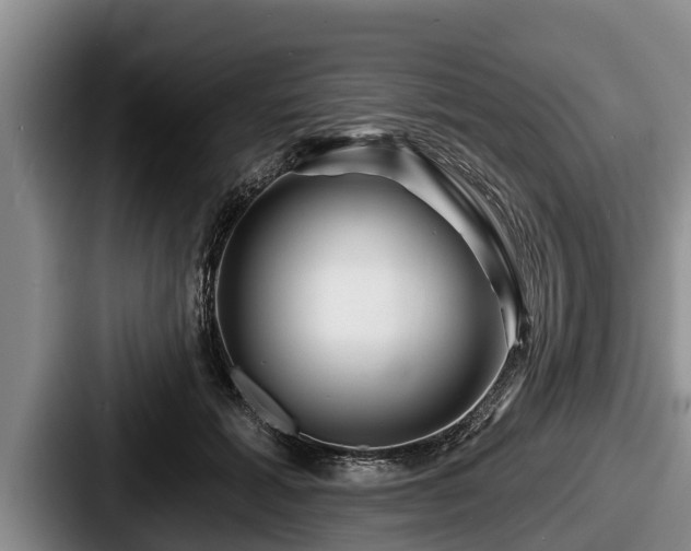 X0000087680605200705111302