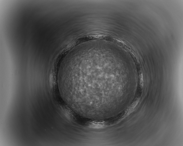 X0000087680606200705111302