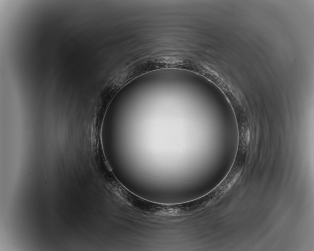 X0000087680609200705111302