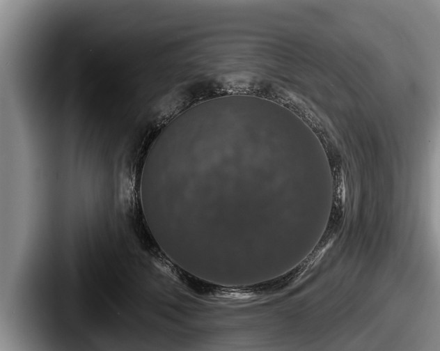 X0000087680610200705111302
