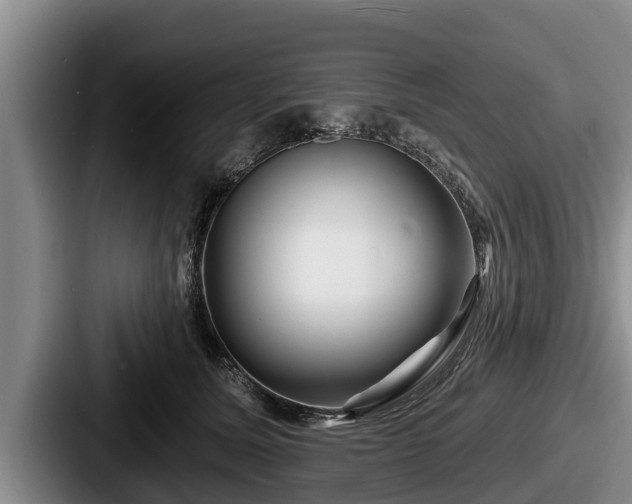 X0000087680611200705111302
