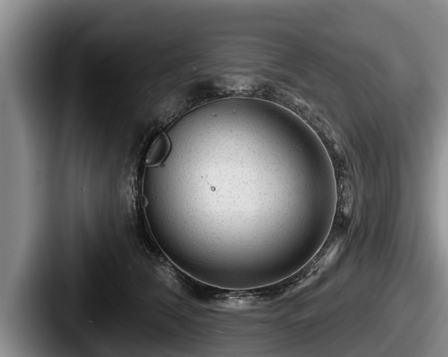 X0000087680612200705111302