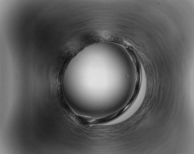 X0000087680613200705111302