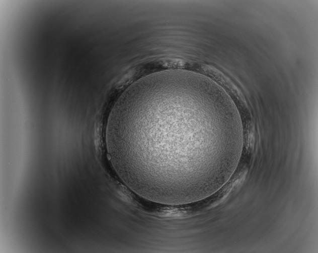 X0000087680616200705111302
