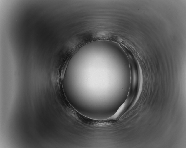 X0000087680617200705111302
