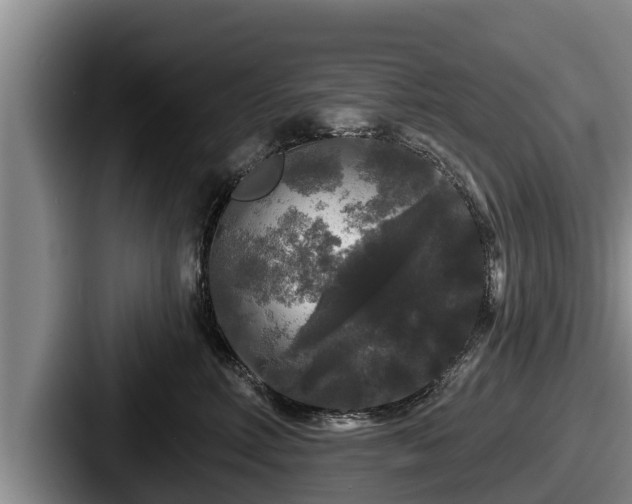X0000087680618200705111302