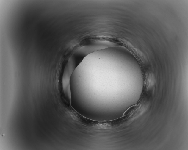 X0000087680619200705111302