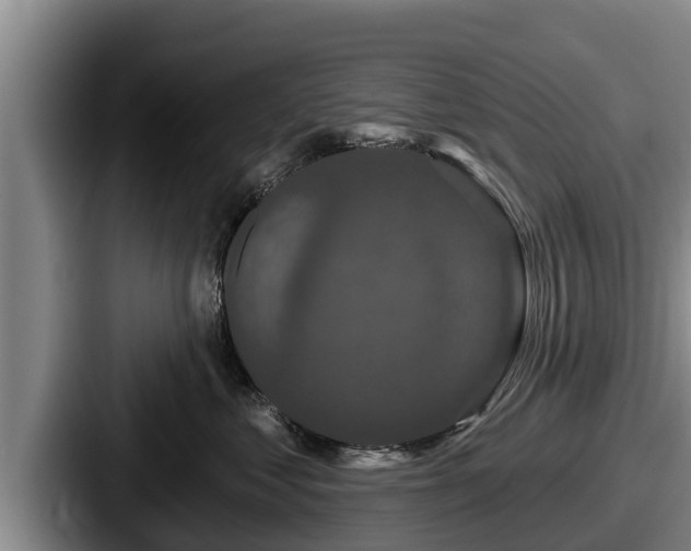 X0000087680621200705111302