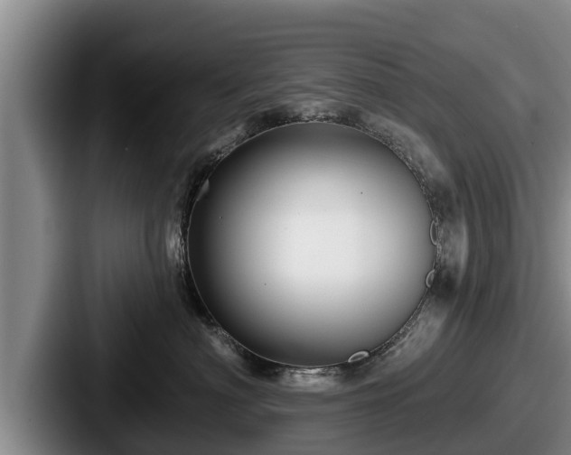 X0000087680622200705111302