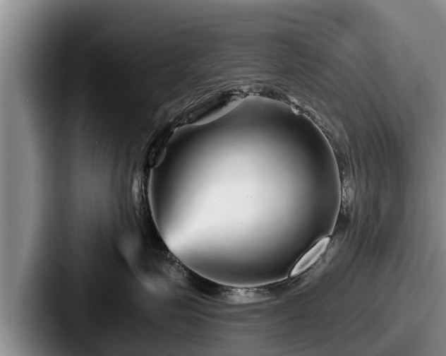 X0000087680623200705111302