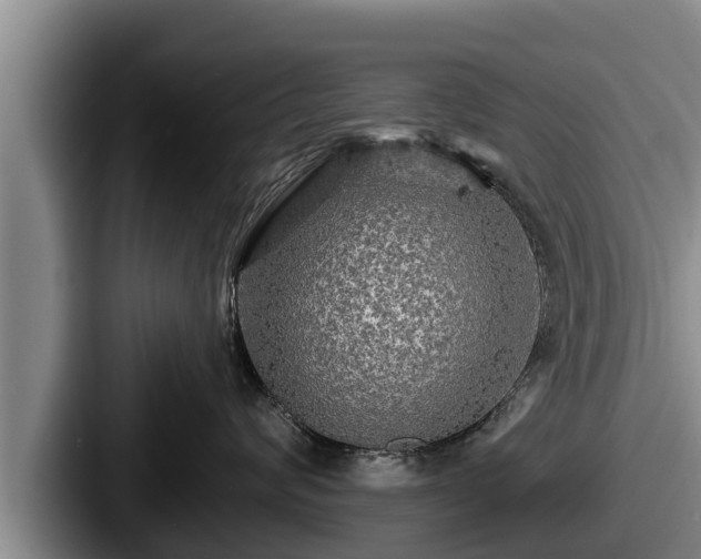 X0000087680624200705111302