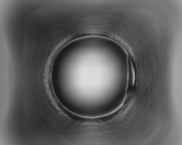 X0000087680625200705111301
