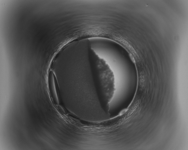 X0000087680626200705111301