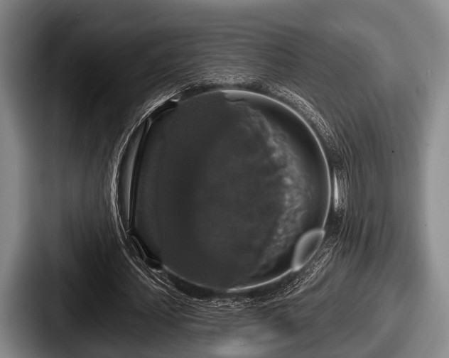 X0000087680627200705111301