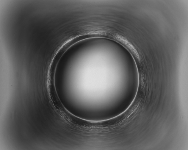 X0000087680628200705111301