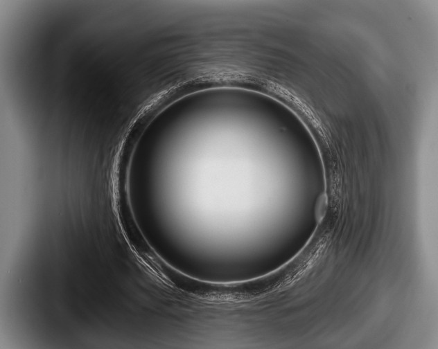 X0000087680629200705111301