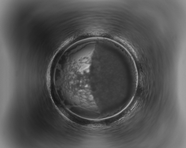 X0000087680630200705111301