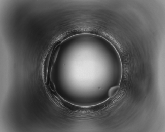 X0000087680631200705111301