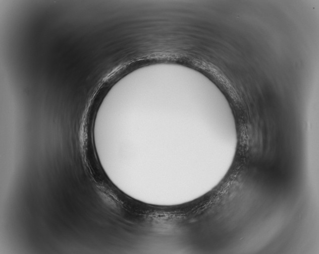 X0000087680632200705111301