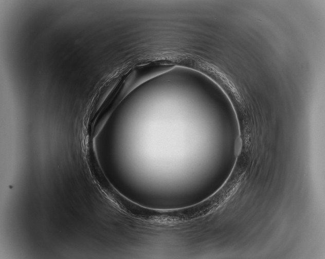 X0000087680633200705111301