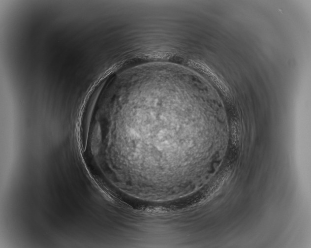 X0000087680634200705111301