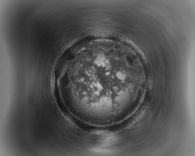 X0000087680637200705111301
