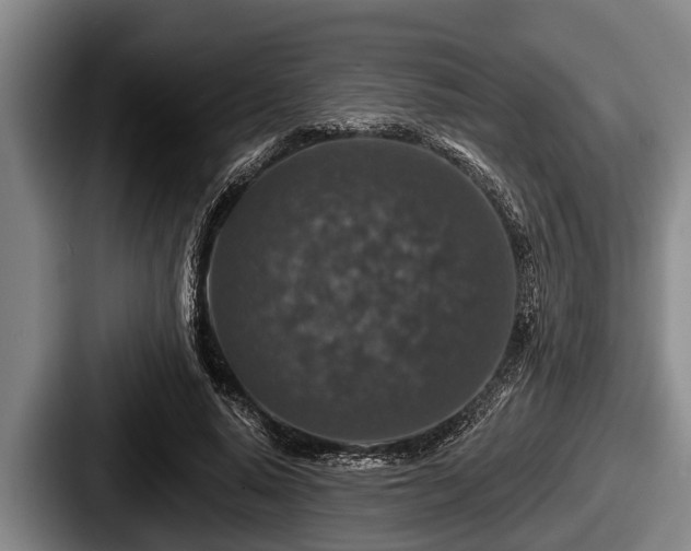 X0000087680640200705111301