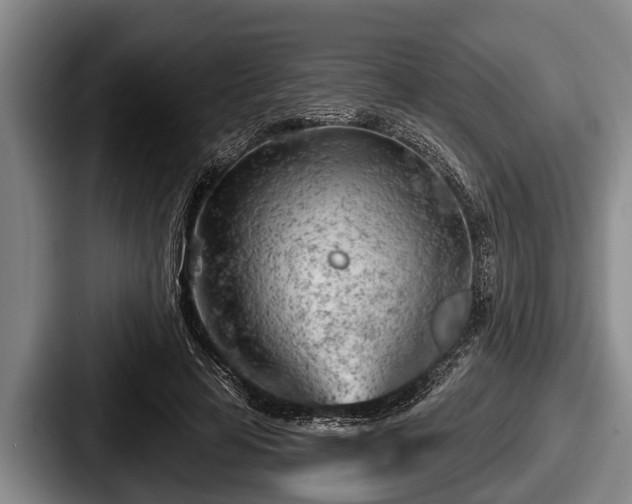 X0000087680641200705111301