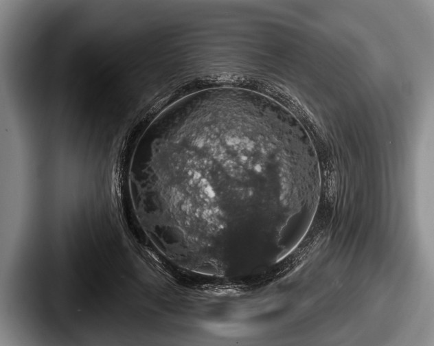 X0000087680643200705111301