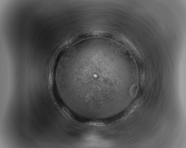 X0000087680644200705111301